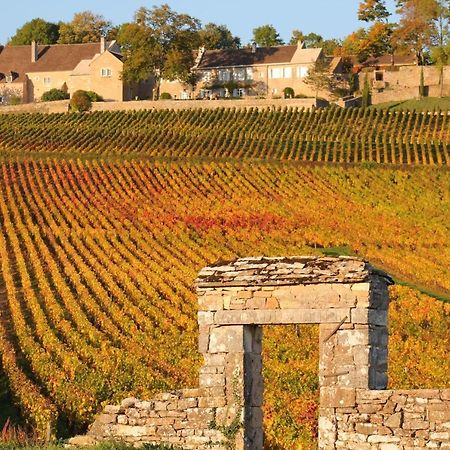 فندق Le Nid Bourguignon شالو سور سون المظهر الخارجي الصورة